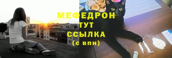 винт Ельня